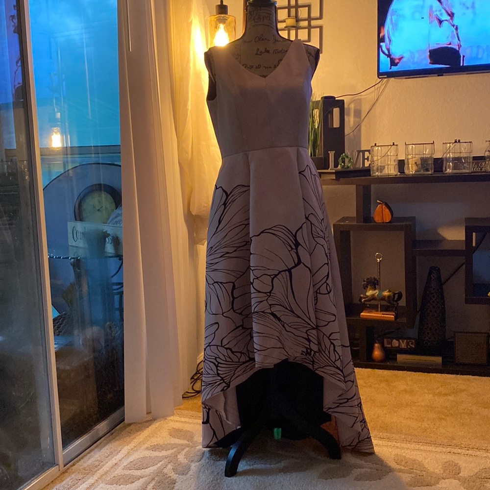 This Frank Lyman is a shimmer mauve with black edges flowers in the back train
